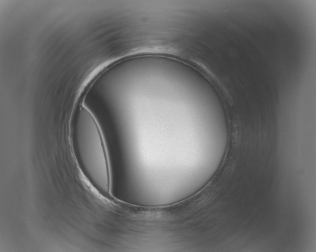 X0000077371468200610201001