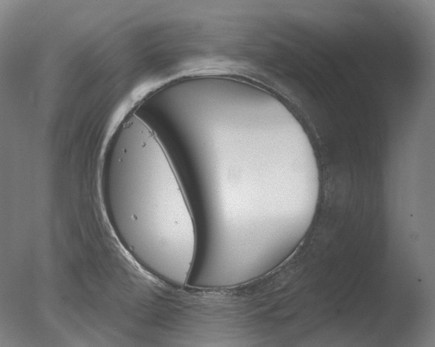 X0000077371472200610201001