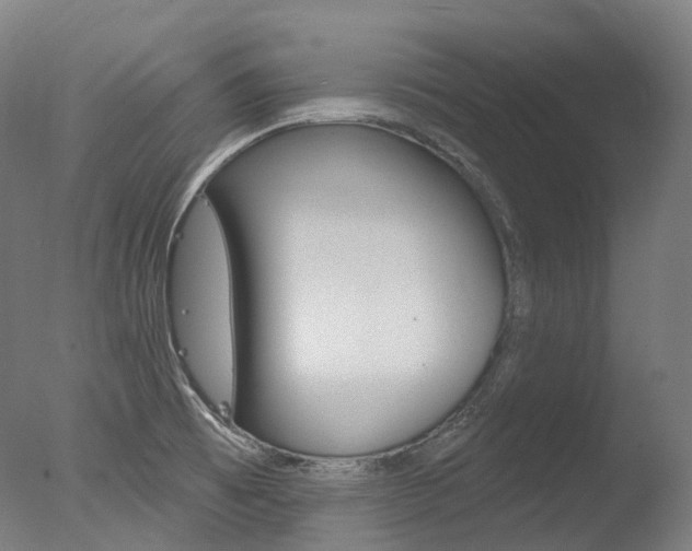 X0000077371473200610201001