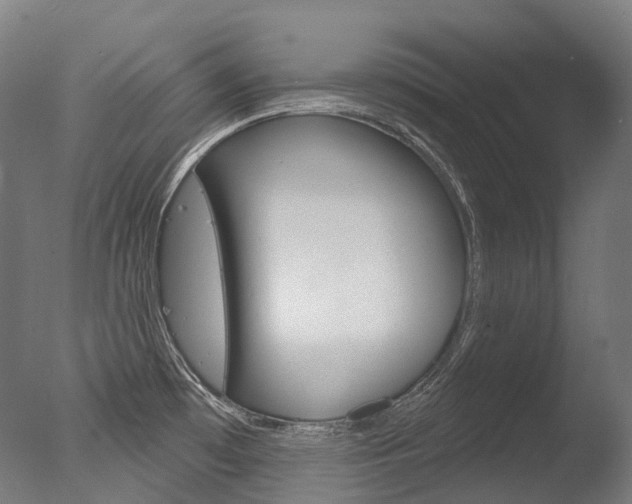 X0000077371481200610201001