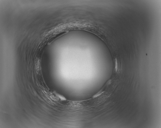 X0000077371492200610201000