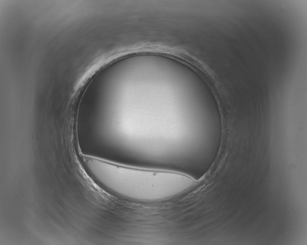 X0000077371504200610201001