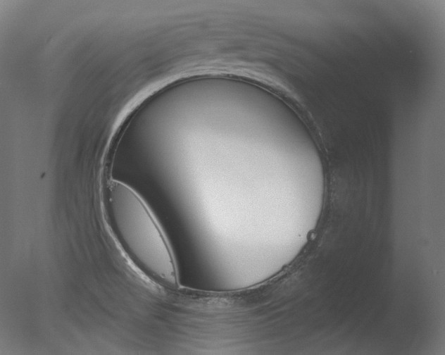 X0000077371517200610201001