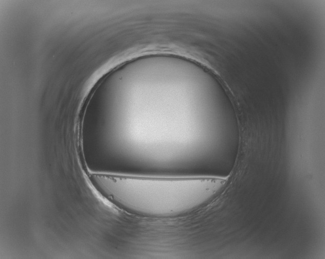 X0000077371519200610201001