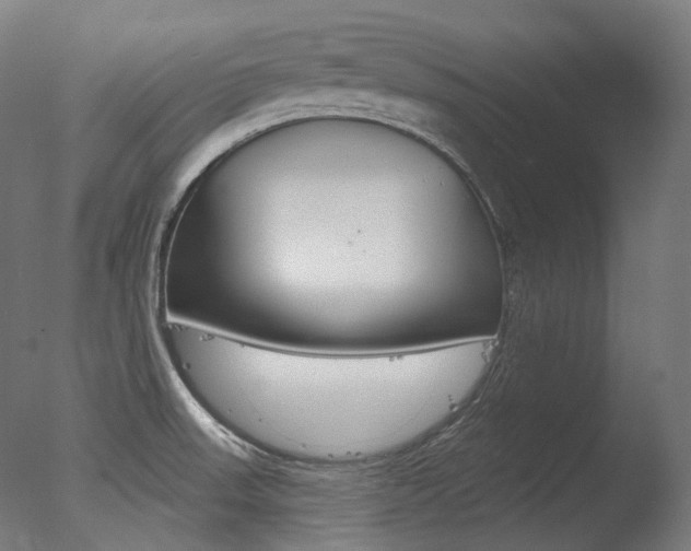 X0000077371523200610201001