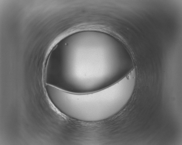 X0000077371528200610201001