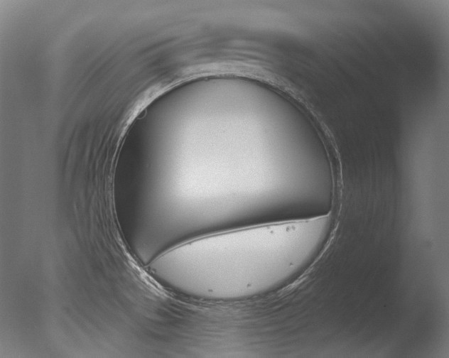 X0000077371529200610201001