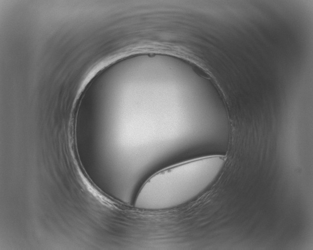 X0000077371531200610201001