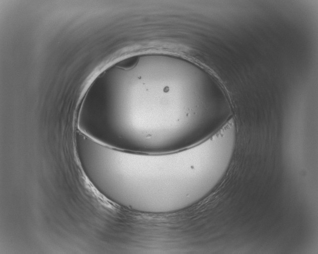 X0000077371532200610201001