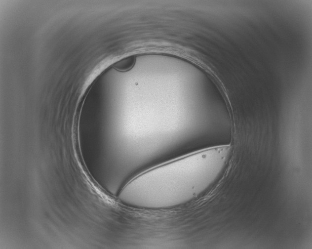 X0000077371533200610201001