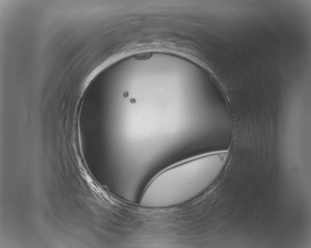 X0000077371534200610201001
