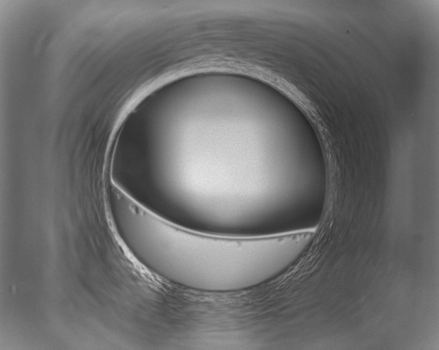 X0000077371536200610201001