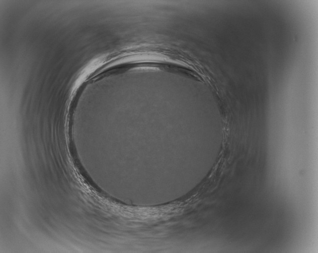 X0000077370006200610201403