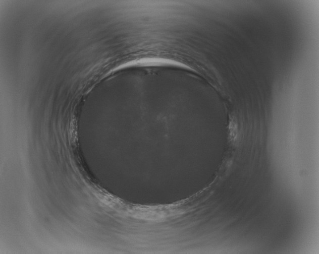 X0000077370029200610201403