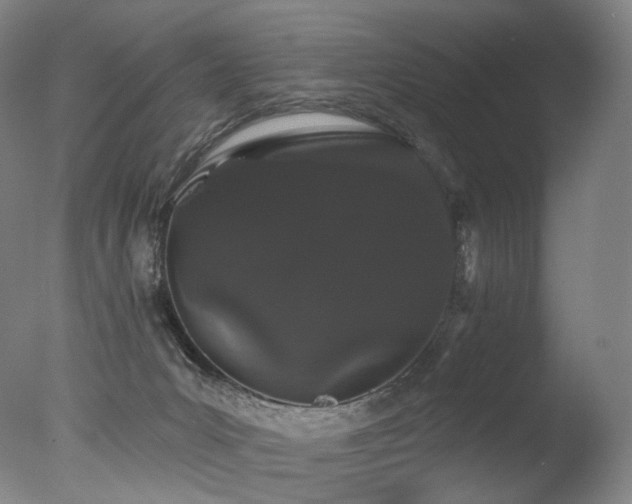 X0000077370031200610201403