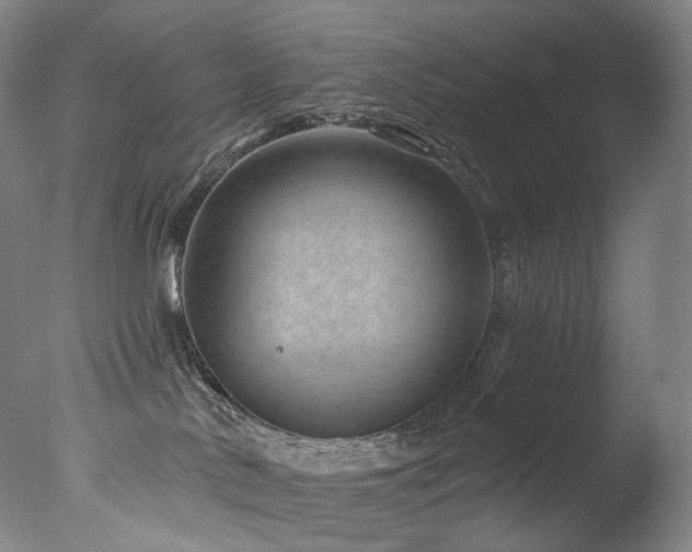 X0000077370042200610201403