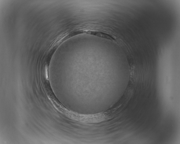 X0000077370046200610201403