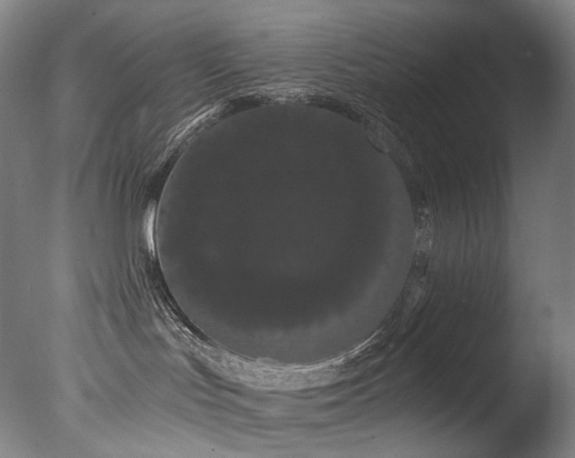 X0000077370047200610201403