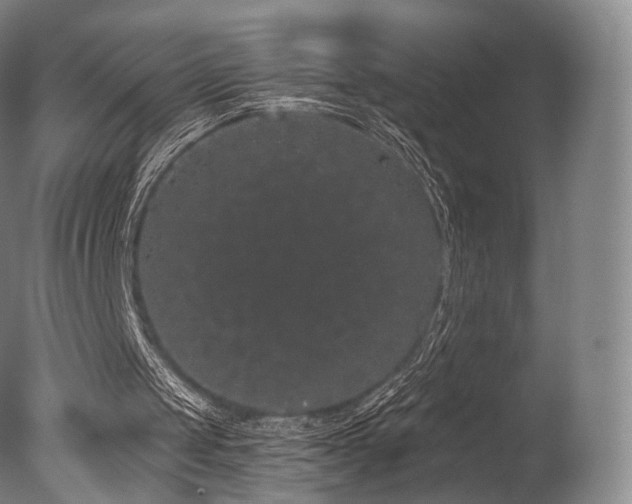 X0000077370049200610201402