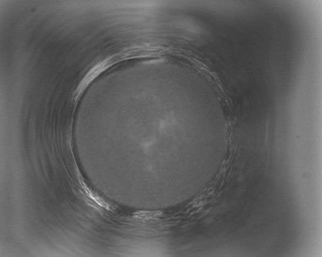 X0000077370051200610201402