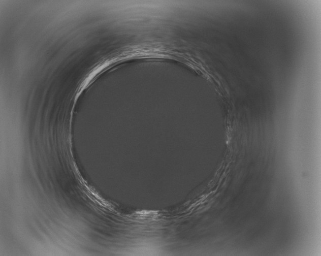 X0000077370052200610201402