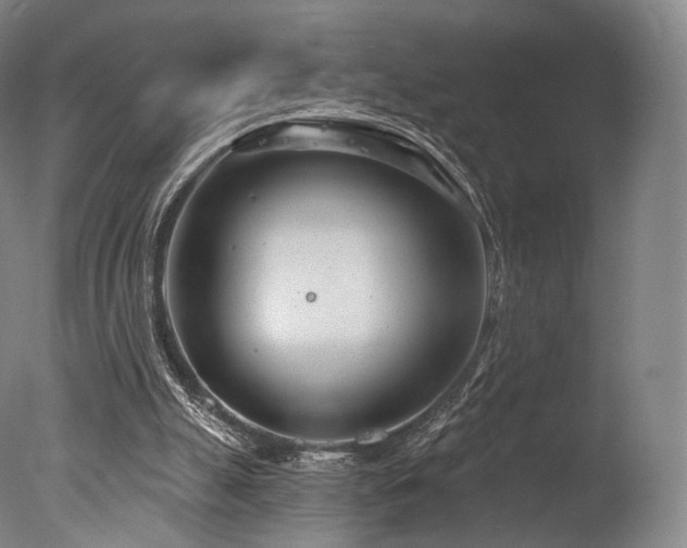 X0000077370055200610201402