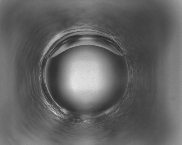 X0000077370056200610201402