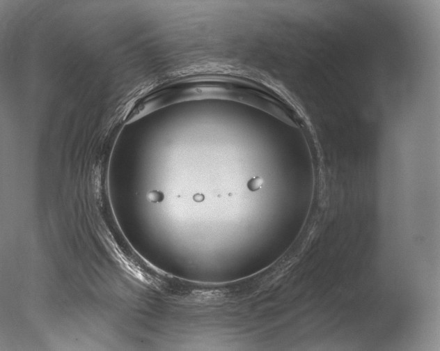 X0000077370057200610201402