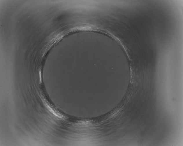 X0000077370061200610201402