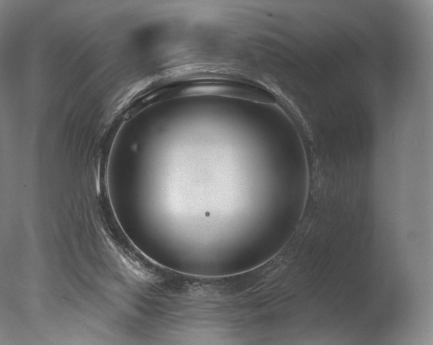 X0000077370062200610201402