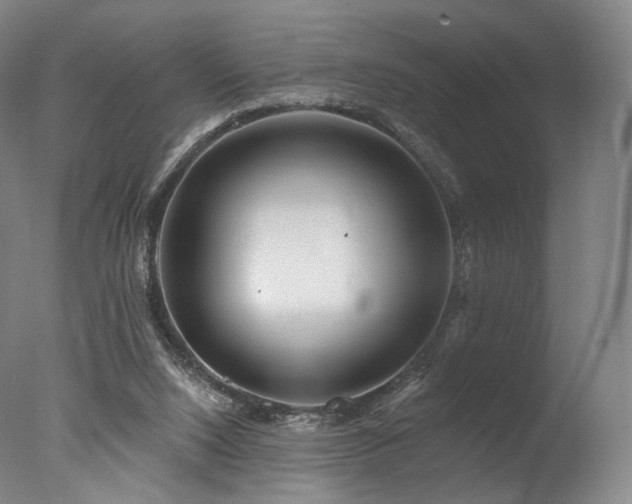 X0000077370064200610201402