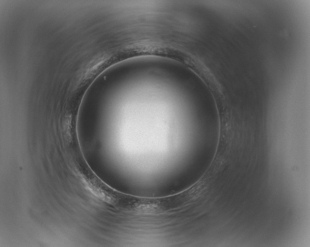 X0000077370066200610201402