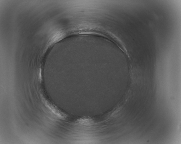 X0000077370067200610201402