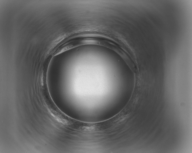 X0000077370068200610201402