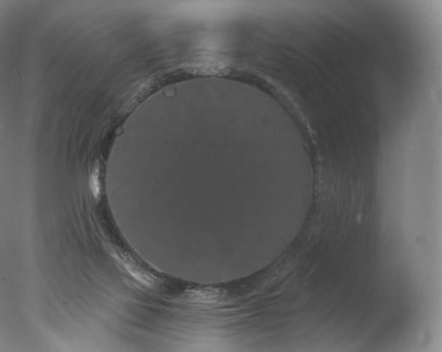 X0000077370069200610201402