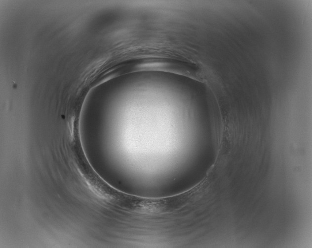 X0000077370070200610201402