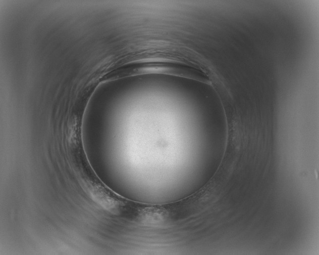 X0000077370073200610201402