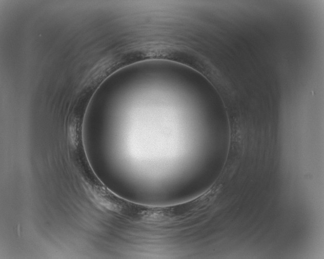 X0000077370074200610201402