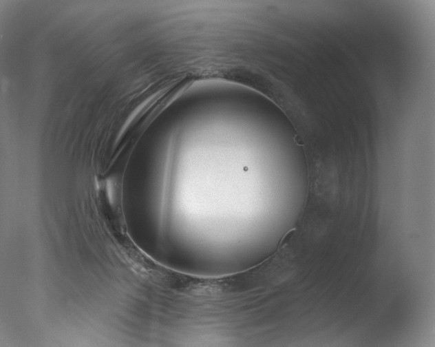 X0000077370075200610201402