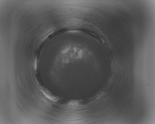 X0000077370076200610201402