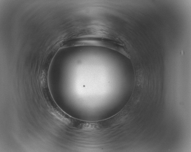 X0000077370077200610201402