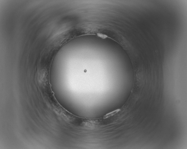 X0000077370079200610201402