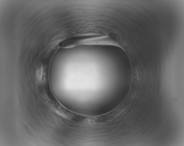 X0000077370080200610201402