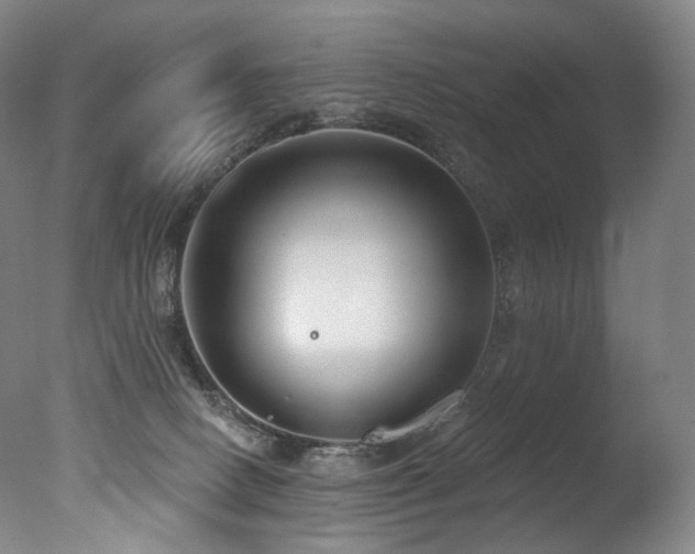 X0000077370082200610201402