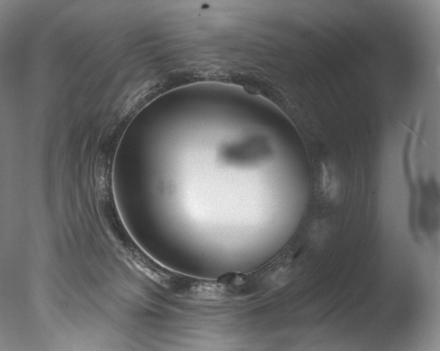 X0000077370084200610201402