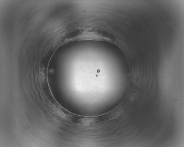 X0000077370085200610201402