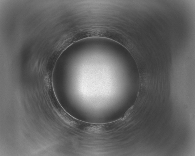 X0000077370086200610201402