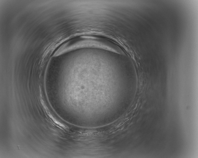 X0000077370097200610201402