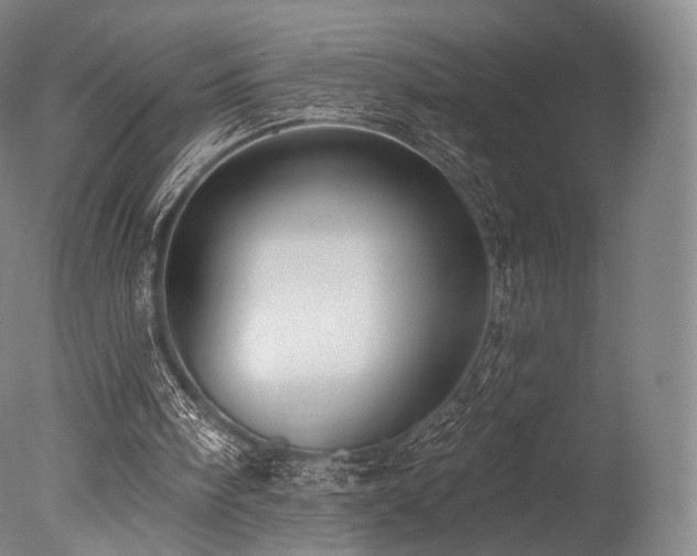 X0000077370098200610201402