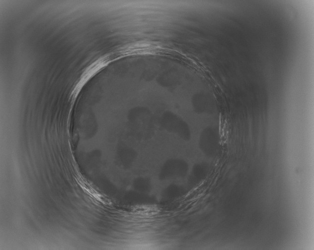 X0000077370099200610201402